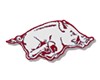 Arkansas Razorbacks Shop