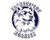 Connecticut Huskies Shop
