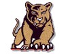 Houston Cougars Shop