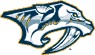 Nashville Predators NHL Merchandise